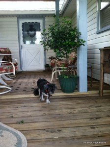 Candi on porch